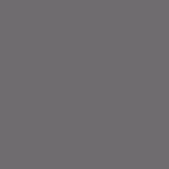Coloris DB 703 Gris métallisé