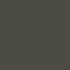 Coloris RAL 7022 Gris terre d'ombre