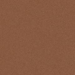 Coloris RAL 8003 STR Brun argile structuré