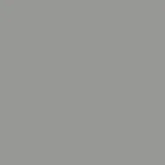 Coloris RAL 9007 Aluminium gris