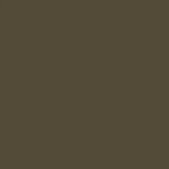 Coloris VSR 780 Brun cuivré